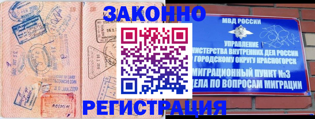 прописка иностранных граждан в Пионерском